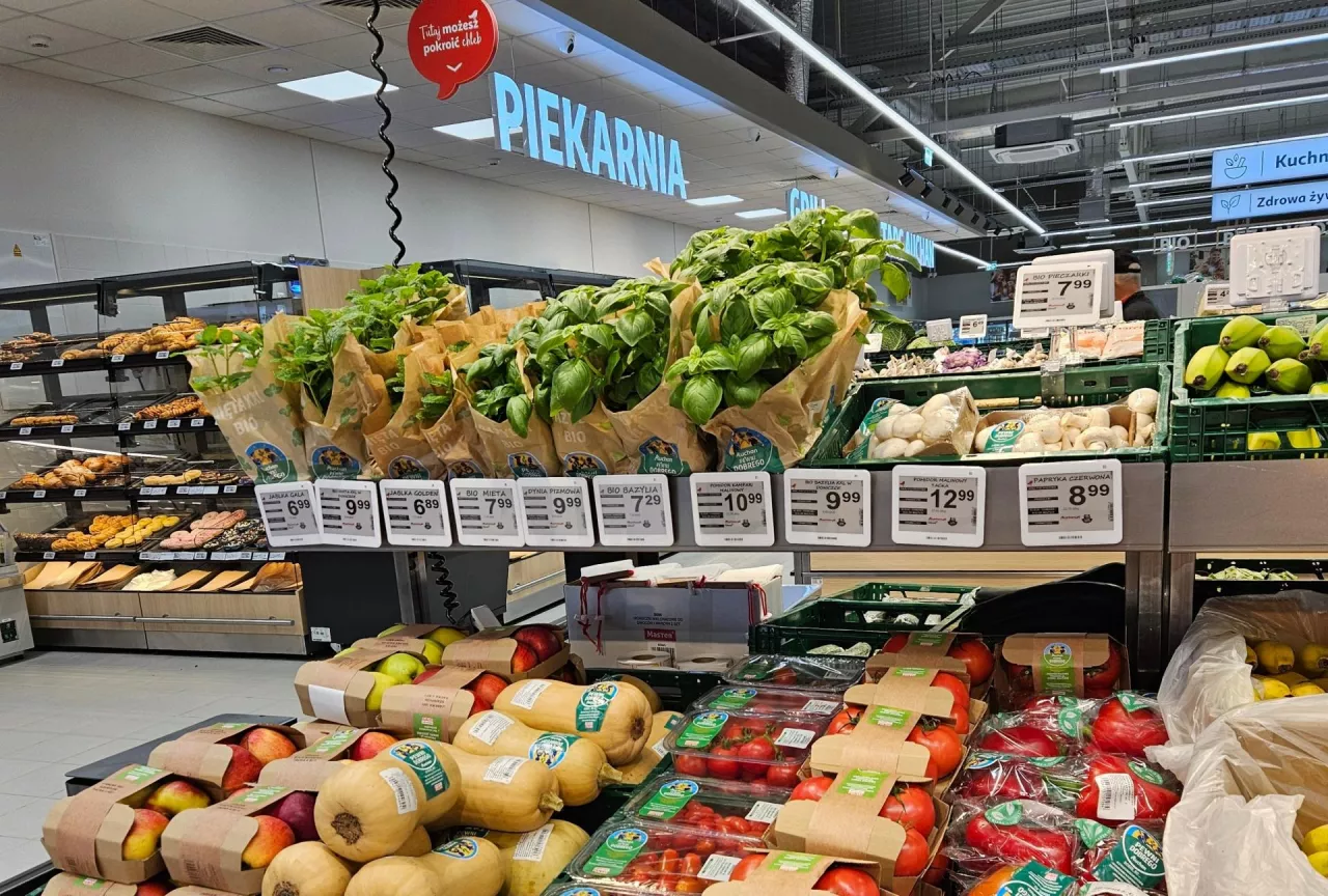 &lt;p&gt;Auchan otworzył cztery nowoczesne supermarkety&lt;/p&gt;