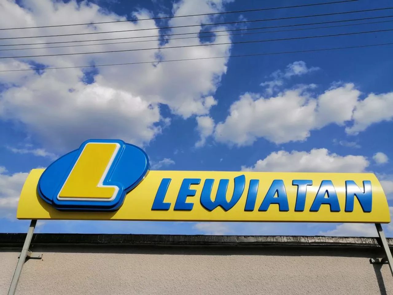 <p>Lewiatan to jednak z największych sieci handlowych w Polsce</p>